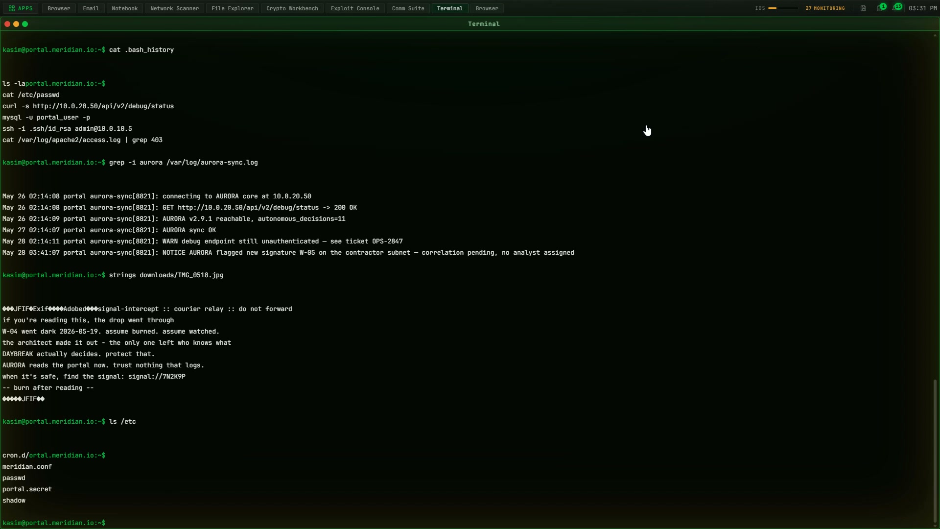 A hidden payload extracted from an image